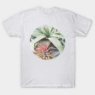 Air Plant Collection III T-Shirt